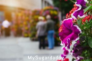 Nunca es tarde para enamorarse: Pareja mayor comparada con flor La imagen tiene dos planos. En el primer plano vemos una flor. Es hermosa y el foco esta dirigido a ella. En el segundo plano, al fondo, vemos una pareja mayor. No esta enfocada. Sin embargo, se puede identificar como un momento agradable. Nunca es tarde para enamorarse.